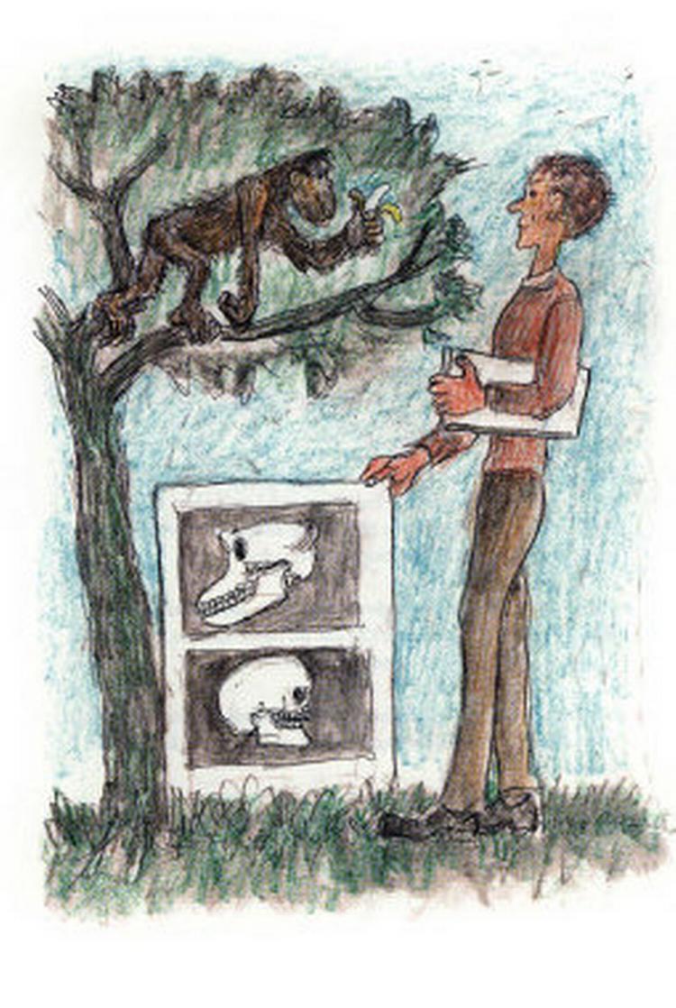 Illustration fra bogen 