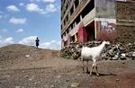 Der kan blive langt at rejse, hvis du vil se din firmajulegave i år - billedet her er fra et slumkvarter i Nairobi. 