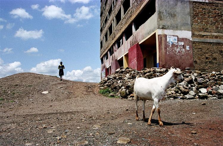Der kan blive langt at rejse, hvis du vil se din firmajulegave i år - billedet her er fra et slumkvarter i Nairobi. 