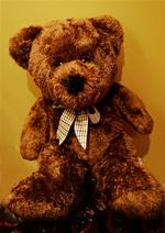 En domstol i Sudan skal tage stilling til, om det er strafbart, at en lærerinde lod sine elever navngive en bamse Muhammad. 