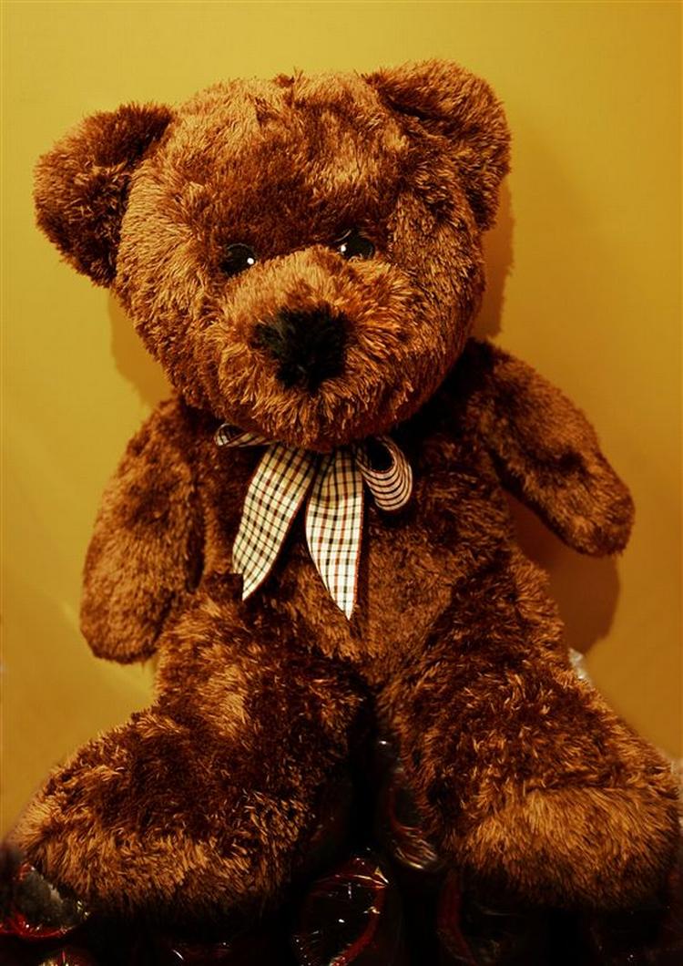 En domstol i Sudan skal tage stilling til, om det er strafbart, at en lærerinde lod sine elever navngive en bamse Muhammad. 