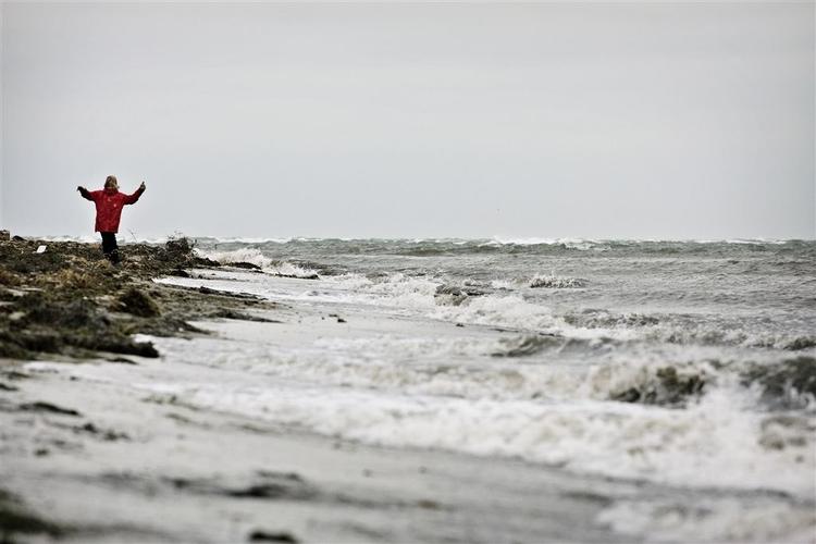 Vinterstrand ved Kongelunden på Amager ved Øresund. 