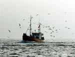 A young fisherman had enough - and jumped overboard in an inflatable dinghy. Unrelated archive photo. 