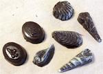 Marmorerede fruits de mers er et godt sted at starte med støbte chokolader. 