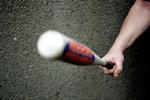 Baseball bat.