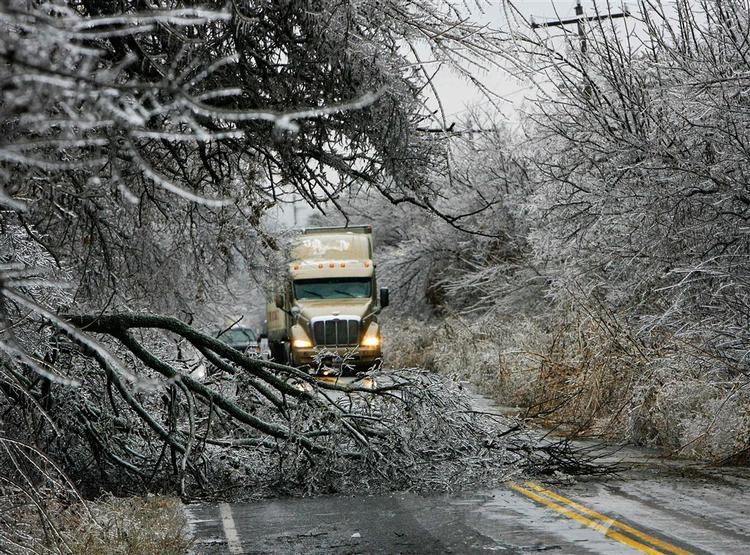 Træer langs Britton Road i Oklahoma blev så tynget af is, at de væltede under byrden. 