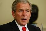 Bush