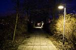 For enden af denne sti ligger Aalborg Stadion. Her mødte en 15-årig dreng den 48-årige musiklærer, som han maltrakterede, før han slæbte sit livløse offer hen under en lygte og filmede ham med sin mobiltelefon. 