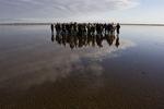 Ny forskning viser, at vandet kan stige mere end ventet. 
