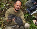 Den indonesiske kæmperotte i hænderne på en biolog. 