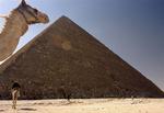 When the Neues Museum in Berlin opens in oCtober it will be featuring its famous Egyptian collection. 