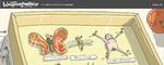 wulff_29_12_2007 copy