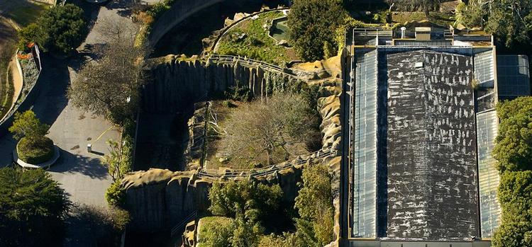 Luftfoto af den grotte i San Franciscos zoo, som den 135 kilo tunge huntiger slap ud fra. 