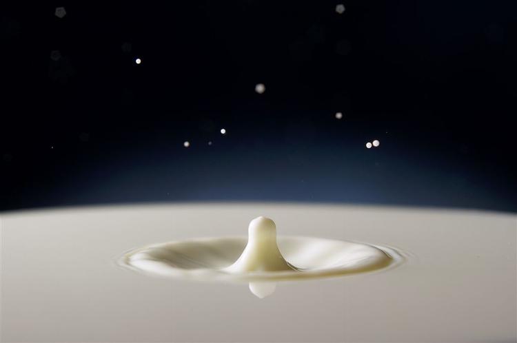 En dråbe mælk rammer overfladen. Arla har mistet terræn, men glæder sig over, at noget er vundet tilbage. 