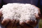 Salt