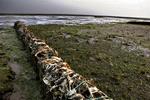 Vadehavet ved Mandø og Rømø