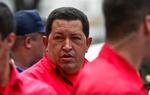 Venezuelas præsident Hugo Chavez vil ikke tillade, at befolkningen ikke har adgang til frisk mælk. 