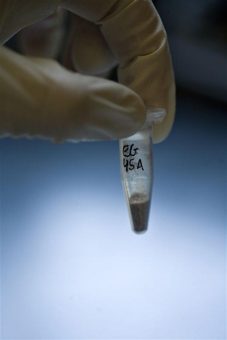 Vores arvemasse, dna'et, skal nu kortlægges i så detaljeret grad, at læger og forskere kan få et slags katalog over de gener, der ligger bag vore arvelige sygdomme. 