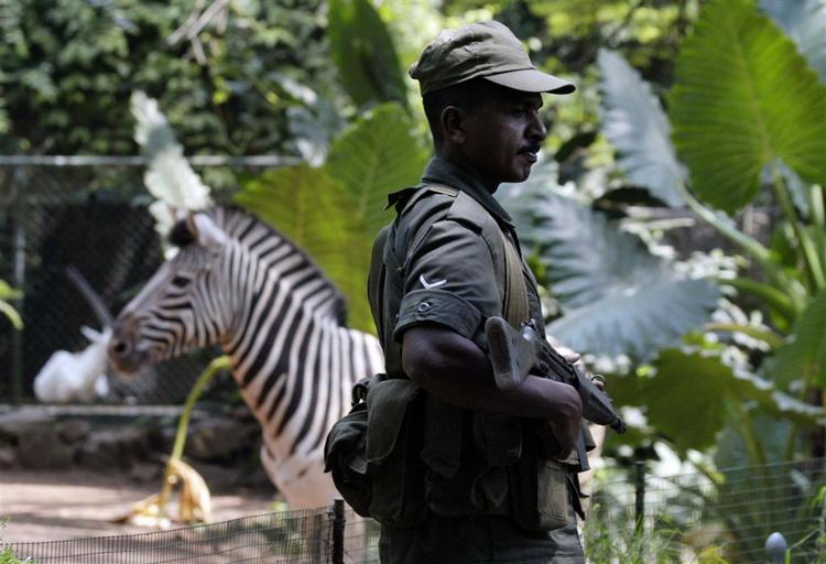 En soldat holder vagt i en zoologisk have i Sri Lanka,  efter at en granat eksploderede og sårede fire mennesker. 
