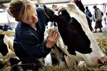 Landbrugets organisationer består af mænd, mænd og atter mænd. Nu vil en håndfuld kvinder gøre noget ved sagen. 