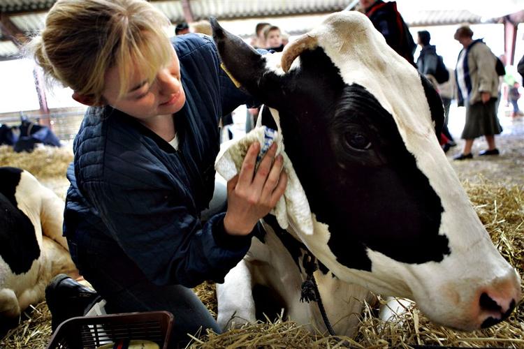 Landbrugets organisationer består af mænd, mænd og atter mænd. Nu vil en håndfuld kvinder gøre noget ved sagen. 