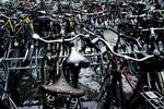 Stregkoder skal gøre det muligt at identificere stjålne cykler. 