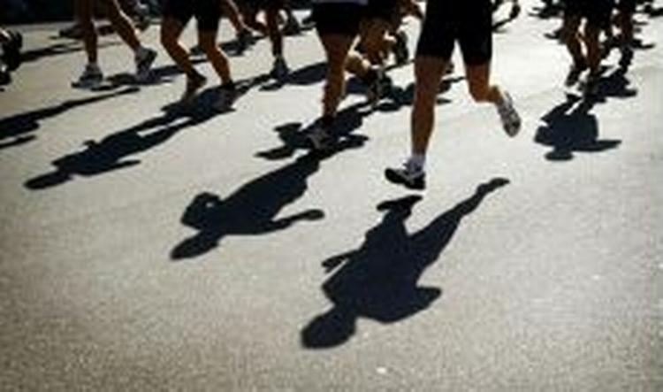 Det er primært de veluddannede, der har forstået budskabet om at røre sig. - Foto: Jens Dresling 