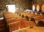 Barrels of French armagnac with chateau owner at small cellar in Gascogne district