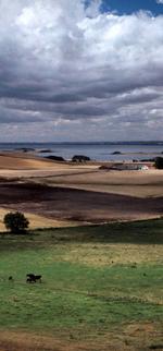 lox_Naturen__16-02-2008_GQ4BBRA.jpg