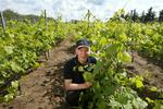 Dansk vin. Vindyrkning på vore egne himmelstrøg vinder frem og får måske endnu bedre kår med stigende temperaturer. Her er det Skærsøgaard i Dons ved Kolding. 