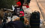 Irakiske børn hjemme i Bagdad igen, efter at forældrene forgæves forsøgte at flygte til Syrien. 
