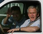 Bush