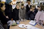Eleverne i 3.A på Absalon Skole i Roskilde lugter interesserede til leverpostejen for at finde ud af, om de også kan lugte forskel, når nu de kunne smage forskel. 