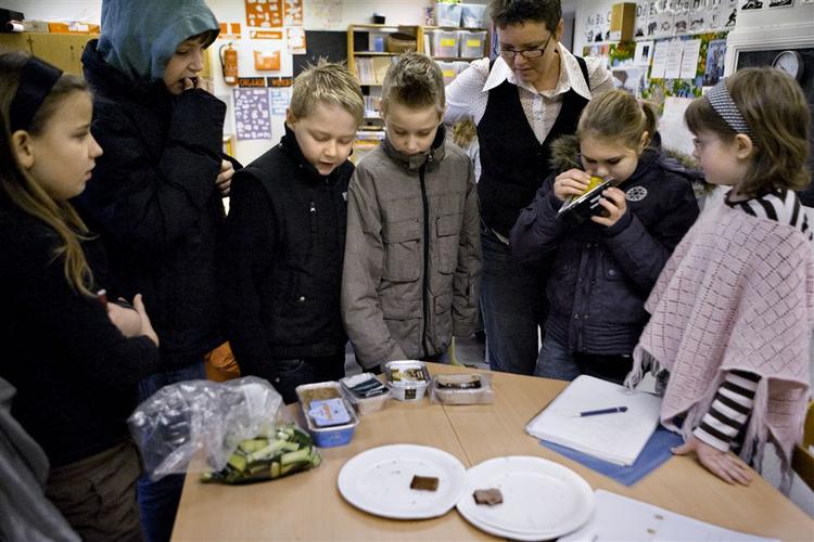 Eleverne i 3.A på Absalon Skole i Roskilde lugter interesserede til leverpostejen for at finde ud af, om de også kan lugte forskel, når nu de kunne smage forskel. 