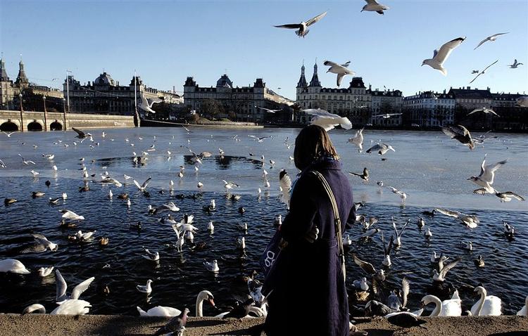 En kvinde fodrer fugle ved Peblinge Sø i København. Arkivfoto. 