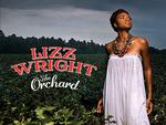 Lizz Wright foregøgler ikke noget, men holder sin solide stil på sit album 'The Orchard'. 