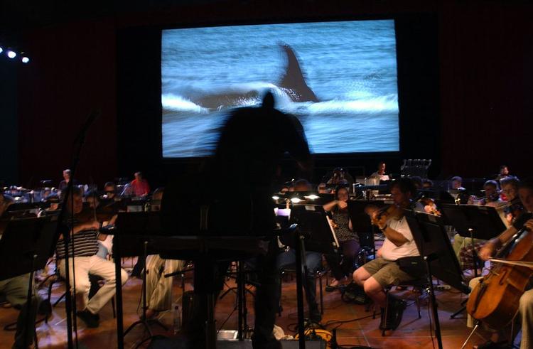 Tivolis Symfoniorkester gæster årets Roskilde Fetival. Her spiller de i Tivolis Koncertsal, mens der på 8 meter langt lærred bag dem kører en film, BBCs 'The Blue Planet. 