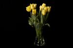 Blomstertorvet