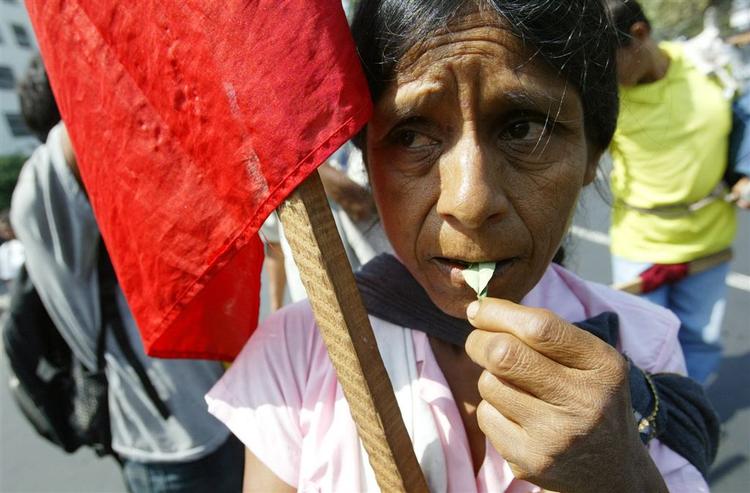 Et coca-blad ryger indenbords under en tidligere demonstration mod regulering af coca-produktionen i Peru. 