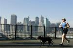 Manhattans skyline ses fra Brooklyn. Københavns skyline når nok aldrig New Yorks højder, men Nordhavn-projektet vil gøre forsøget i det små. Arkivfoto. 
