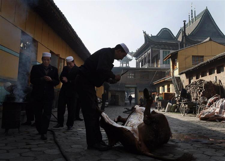 En kinesisk muslim slagter en ko ved en moske i Linxia i Gansu-provinsen. Linxia kaldes 'Lille Mekka i Kina'. Arkivfoto. 