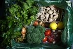 Friske og varierede grøntsager sikrede Skagenfoods grøntkasse den bedste placering i tjekket. 
