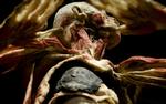 Udstillingen ’Bodies’  – der både kan betyde ’kroppe’ og ’lig’ – kan ses i H.C. Andersen Slottet i Tivoli. Den er set af op imod otte millioner mennesker i USA og Europa og har overalt vakt opstandelse, bl.a. på grund af påstande om, at ligdelene kommer fra henrettede politiske fanger i Kina, hvilket arrangørerne helt kategorisk afviser. 
