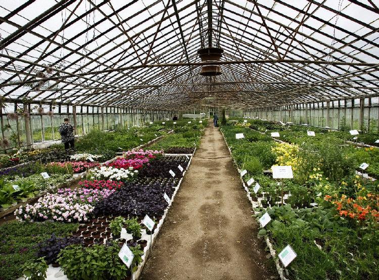 Gartneri Toftegaard blev til ved en tilfældighed. Lene Tvedegaard er agronom og vokset op på landet ligesom sin mand. De ledte efter et hus på landet og faldt for stedet. De tre gamle drivhuse fulgte med. Her er 45 hektar jord. 