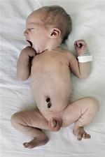 Baby Anders