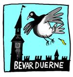 Bagside duer 