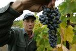 LOW MERLOT