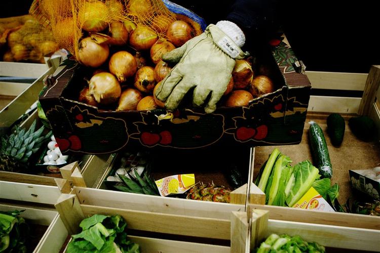 Mere end 800 millioner mennesker slås i øjeblikket om maden i store dele af verden, blandt andet fordi høsten flere steder er slået fejl. 