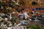 Fødevarekrisen rammer denne gang ikke 'kun' Afrika. Her er en pakistansk dreng i Islamabad ved at rode en affaldsbunke igennem efter frugt- og grønt-rester. 