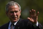Bush